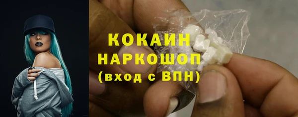 ешки Гусев