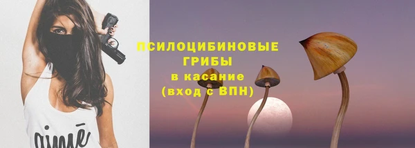 сатива Гусиноозёрск