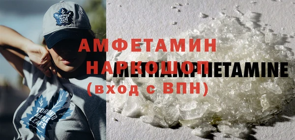 сатива Гусиноозёрск