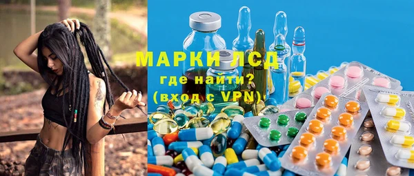 сатива Гусиноозёрск