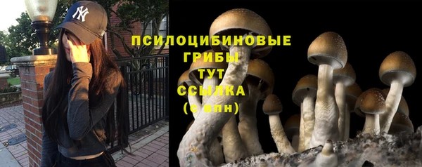 ешки Гусев
