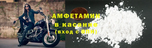 сатива Гусиноозёрск
