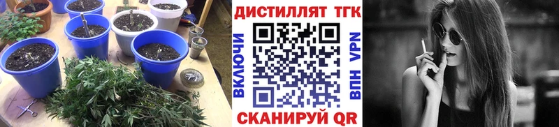 ТГК концентрат  KRAKEN ссылка  Благовещенск  даркнет сайт 
